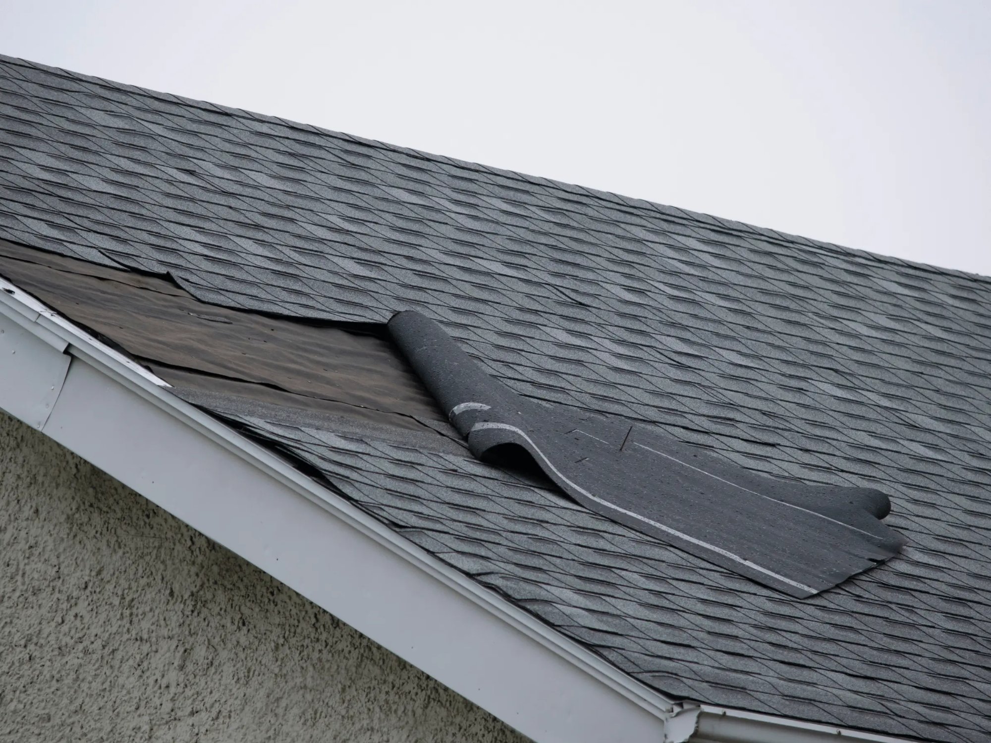 Wind damaged shingles lifted from roof